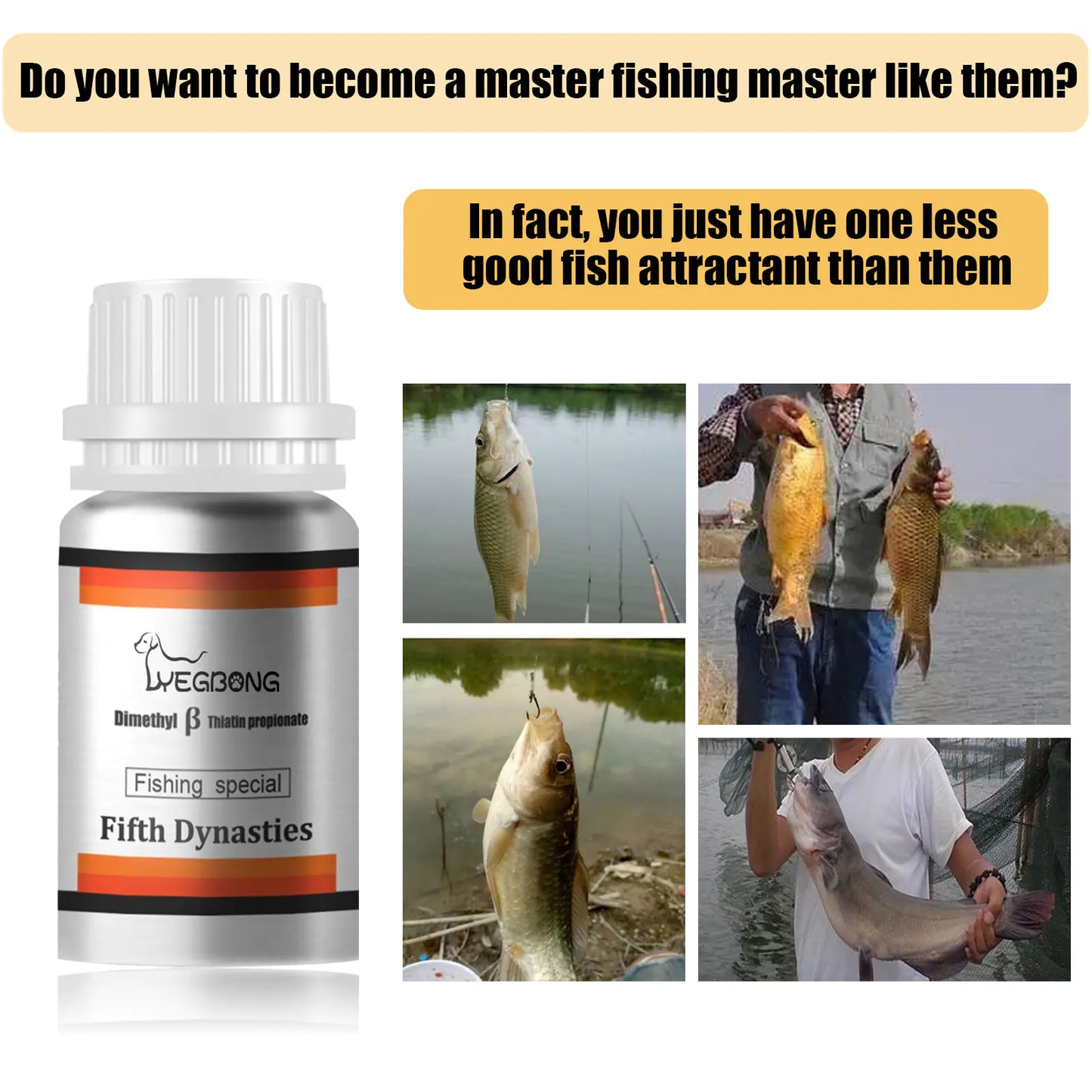 Yegbong Carp Mastery Fishing Bait