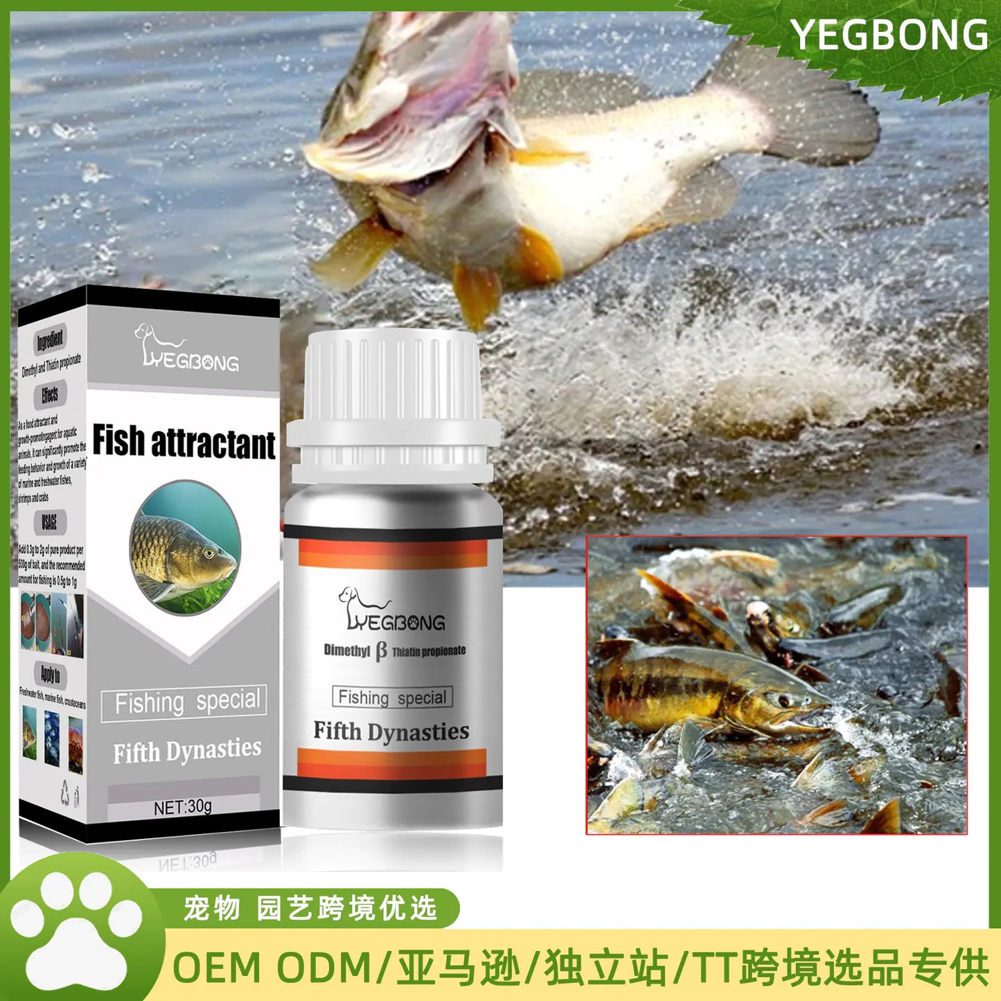 Yegbong Carp Mastery Fishing Bait